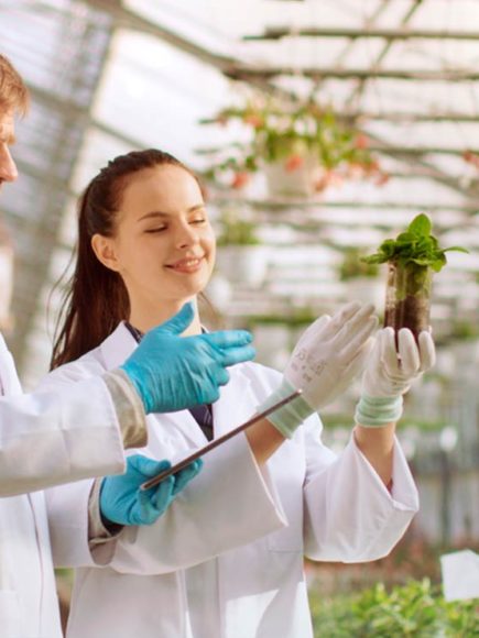 Máster en Biotecnología Alimentaria – Certificado por APENB
