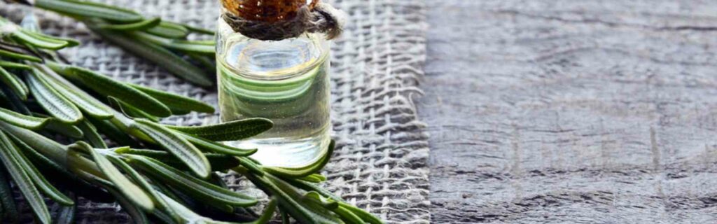 Descubre dónde puedes estudiar naturopatía