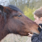 Ejercicios ecuestres y su impacto en el equilibrio y la confianza