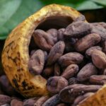 ¿Cuáles son las propiedades del cacao puro?